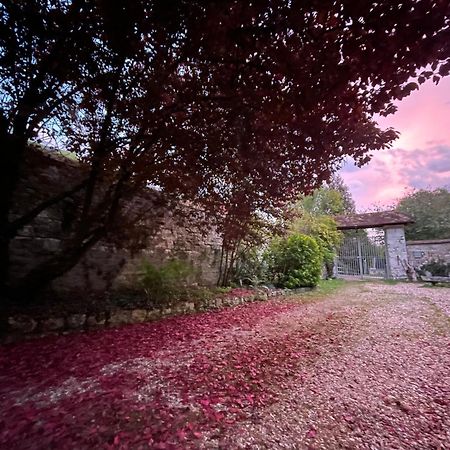 Evergreen Guesthouse Vernon  Bagian luar foto