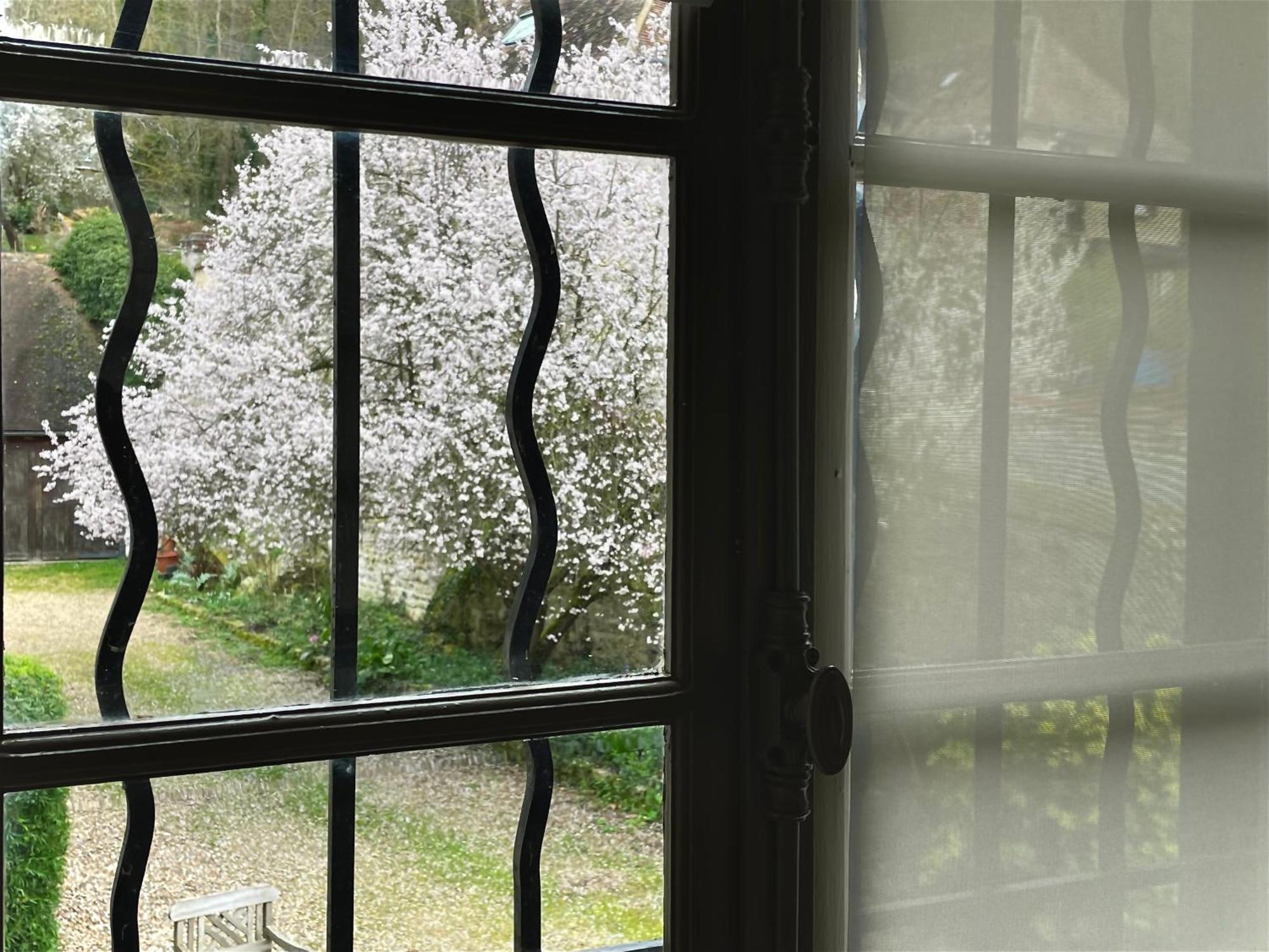 Evergreen Guesthouse Vernon  Bagian luar foto