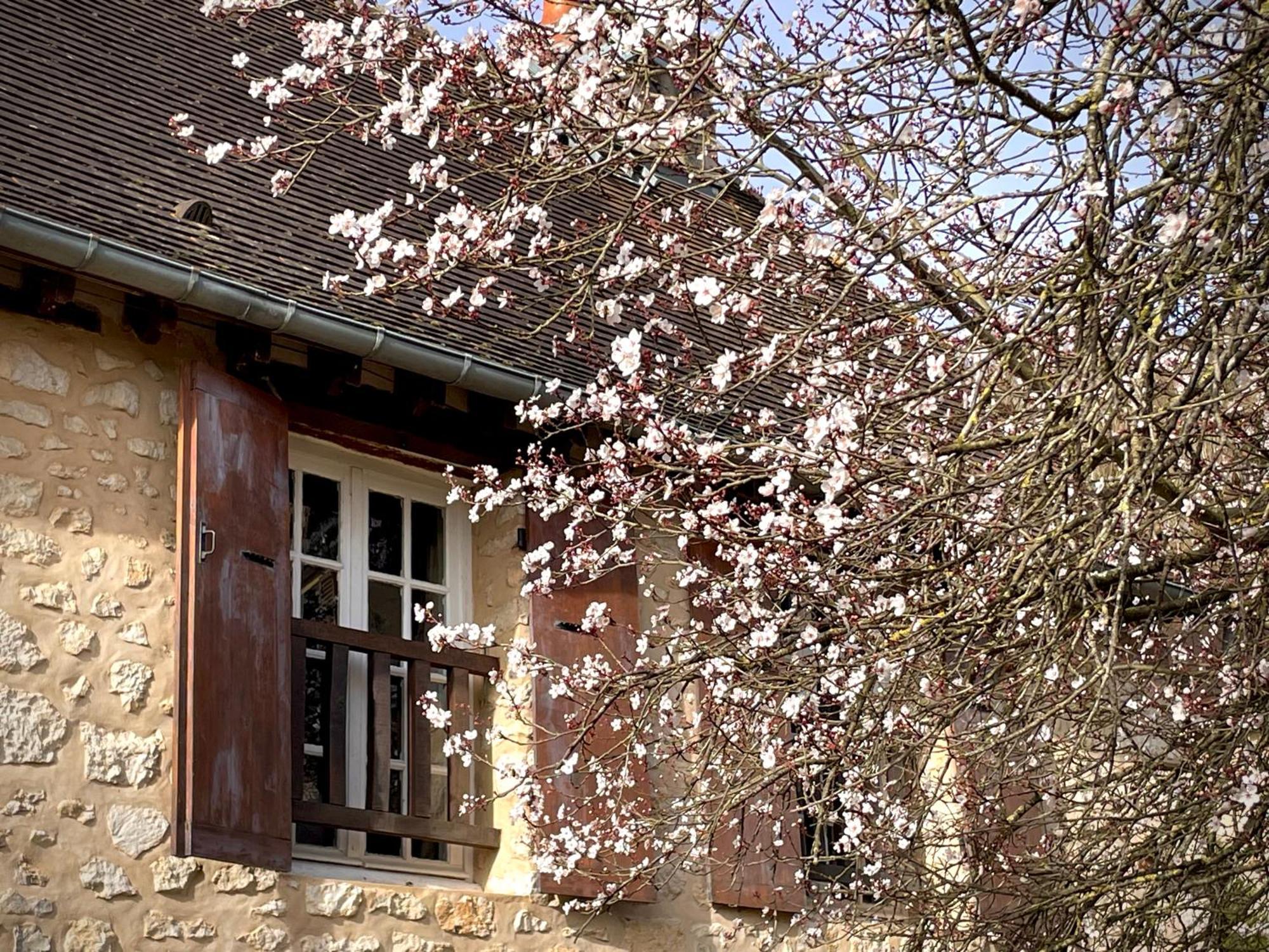 Evergreen Guesthouse Vernon  Bagian luar foto