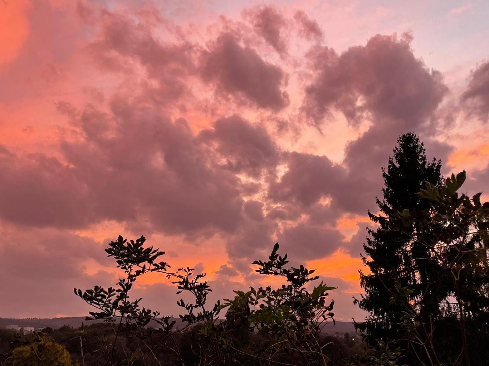Evergreen Guesthouse Vernon  Bagian luar foto