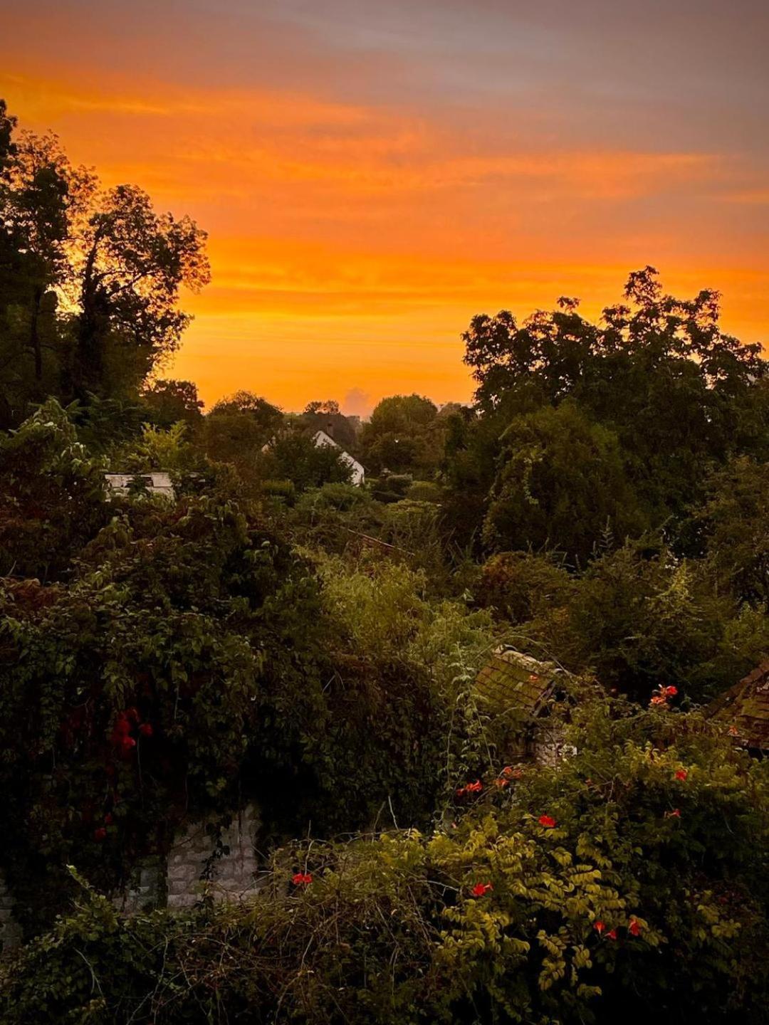 Evergreen Guesthouse Vernon  Bagian luar foto